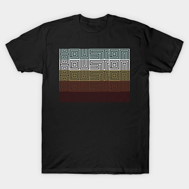 Houston T-Shirt by thinkBig